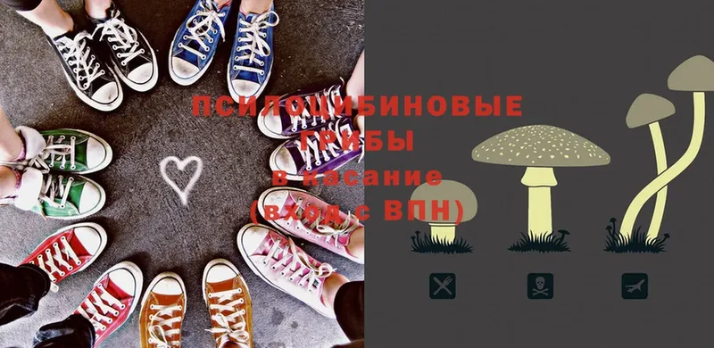 Галлюциногенные грибы прущие грибы  цены наркотик  OMG   это как зайти  Лангепас 